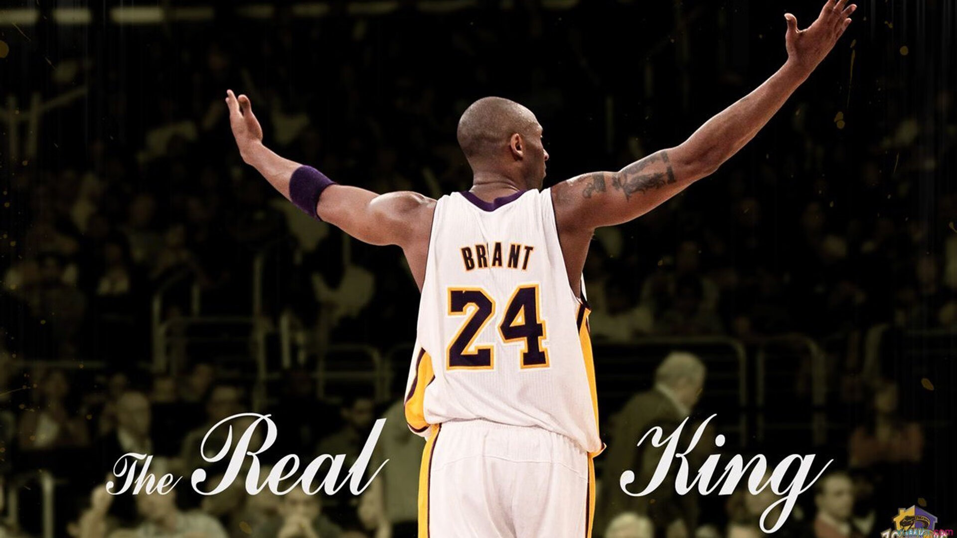 WRC车队战术分析：怎么赢得比赛关键？，wrc赛车规则