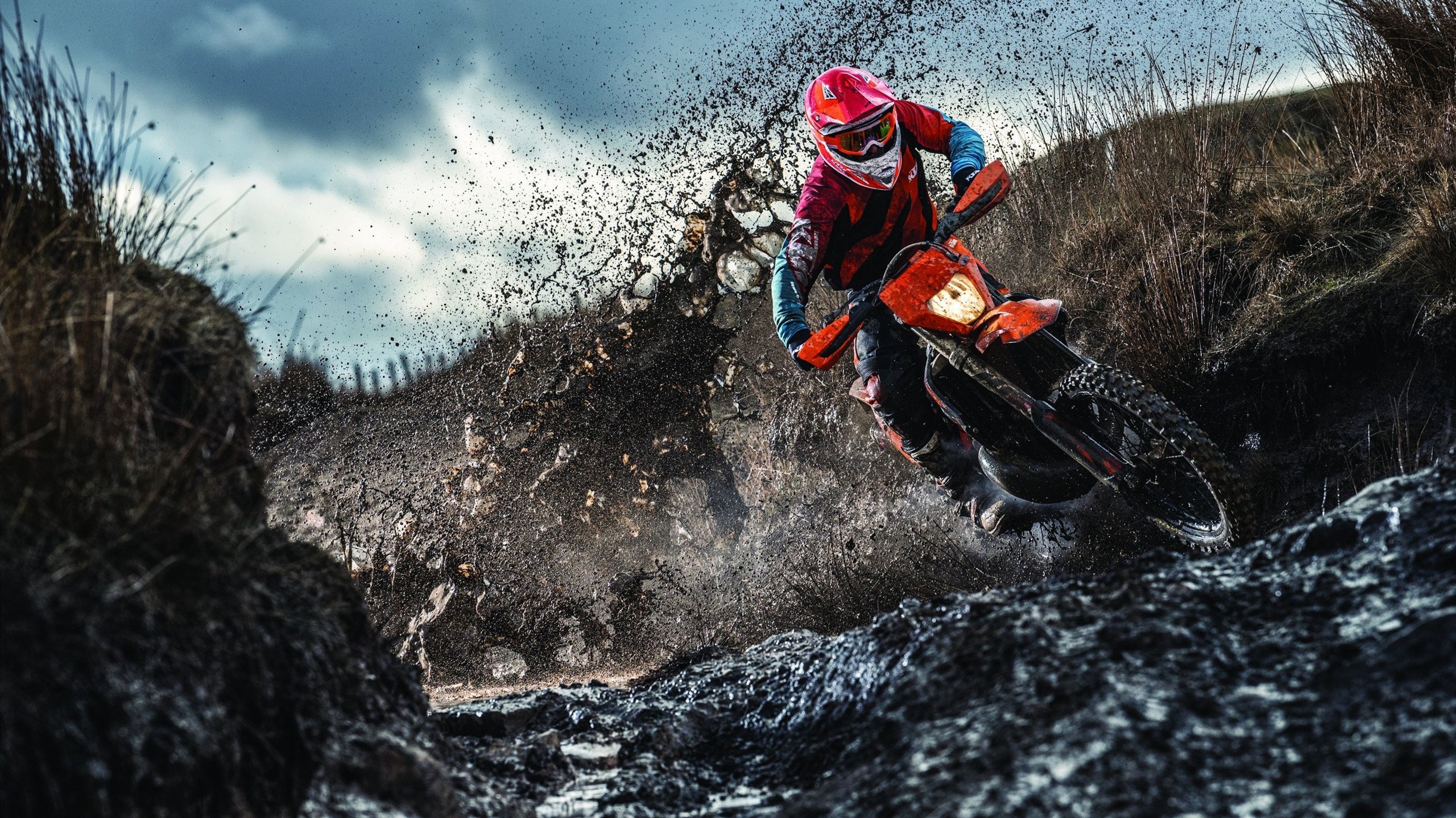 【电子裁判开启新纪元】裁判员如何依靠高科技确保判罚公正?,电子竞技裁判员证书有什么用