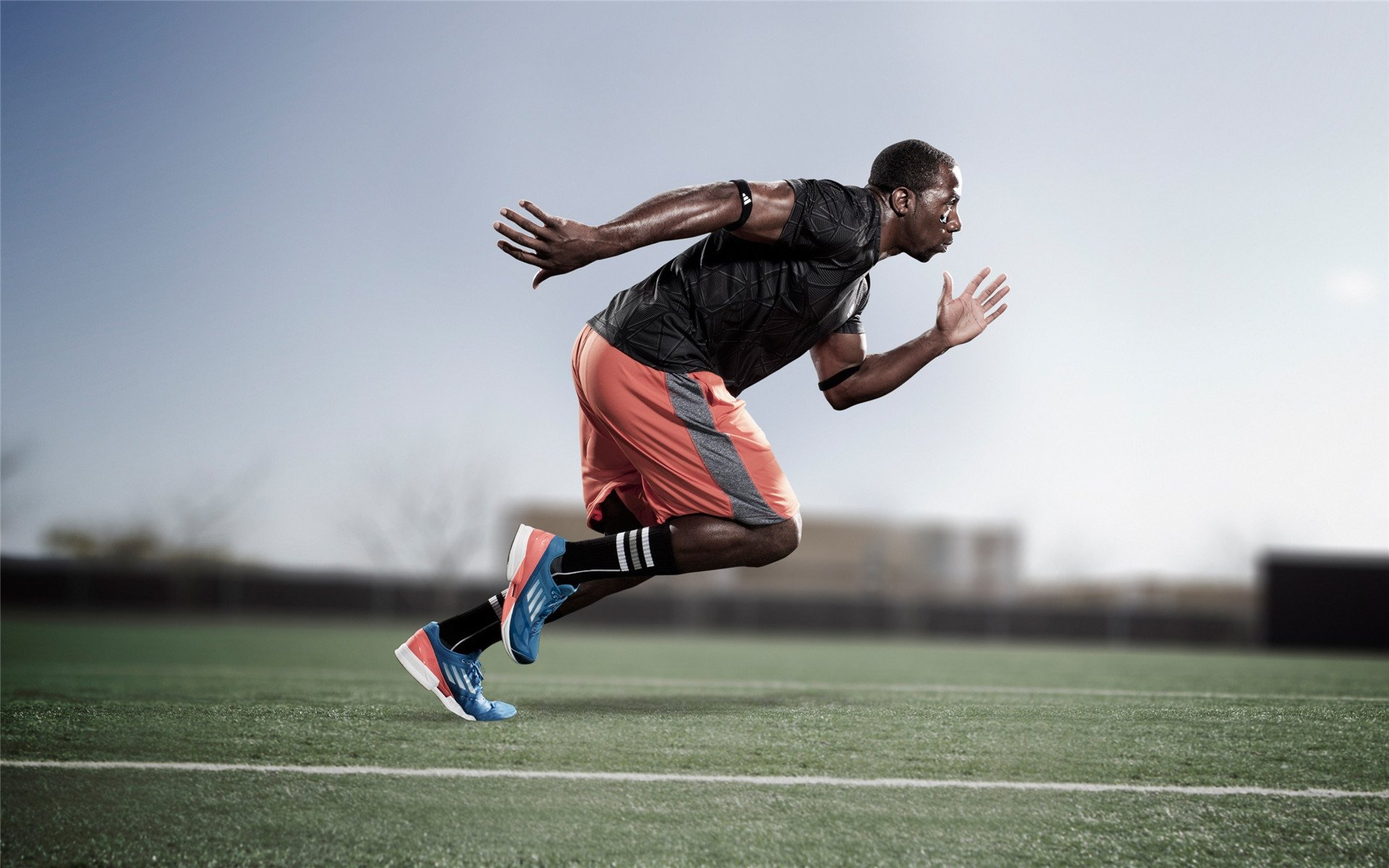 体育赛事吸引眼球,观众尽情欢乐,精彩的体育赛事的审美体验